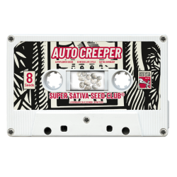 Auto Creeper - Super Sativa Seed Club