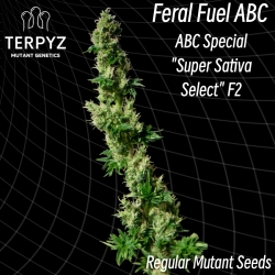 Feral Fuel ABC Reg. - TerpyZ Mutant Genetics