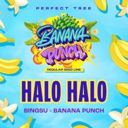 Halo Halo Reg. - Perfect Tree Seeds