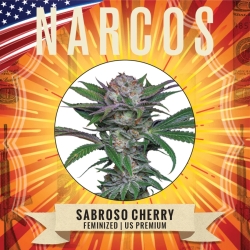 Sabroso Cherry - Narcos Seeds