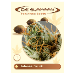 Intense Skunk - De Sjamaan Seeds