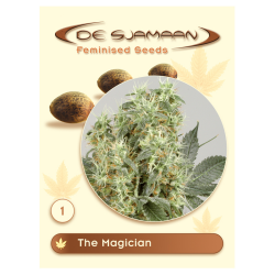 The Magician - De Sjamaan Seeds