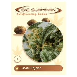 Dwarf Ryder - De Sjamaans Seeds