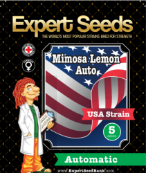 Mimosa Lemon Auto - Expert Seeds