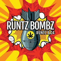 Runtz Bombz - ELEV8 Seeds