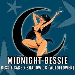 Midnight Bessie Auto - Elev8 Seeds