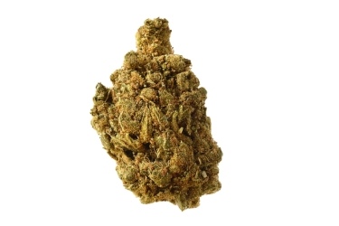 Blue Amnesia Auto - Amsterdam Genetics