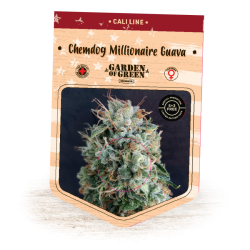 Chemdog Millionaire Guava - Garden of Green