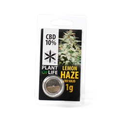 Lemon Haze 10% CBD Pollen - Plant of Life