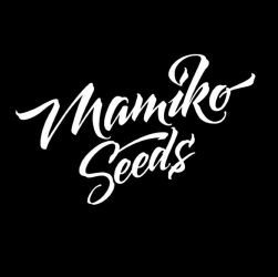 Matriarch OG Reg. - Mamiko Seeds