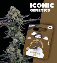 Cookies XL - Iconic Seeds