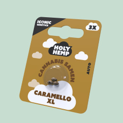 Caramello XL Cannabissamen