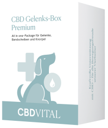 CBD Gelenks-Box Premium