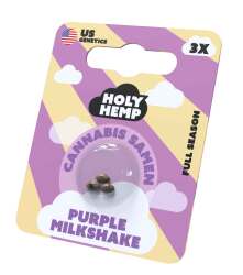 Purple Milkshake Cannabissamen - Holy Hemp