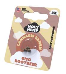 GMO Rootbeer Cannabissamen - Holy Hemp