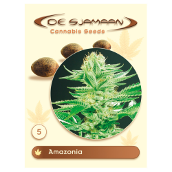 Amazonia regulär - De Sjamaan Seeds