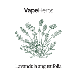 VapeHerbs – Lavendel 30g