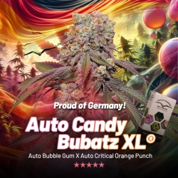 Auto Candy Bubatz XL - Dutch Passion