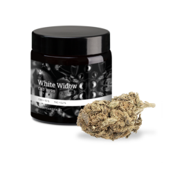 White Widow Premium Blüten