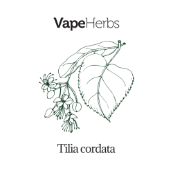 VapeHerbs – Linde 30g