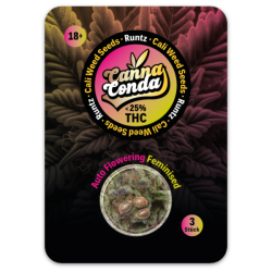 Runtz Auto – Feminised Cali Seeds