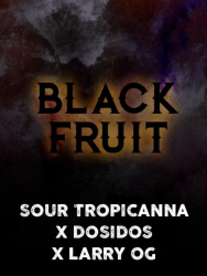 Black Fruit - Tramuntana Seeds