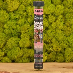 Cheech & Chong - Watermelon Sunrise - 2x Terpene Infused Blunt Cones