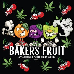 Bakers Fruit - ELEV8 Seeds