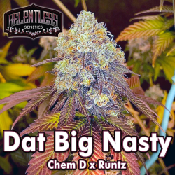 Dat Big Nasty - Relentless Genetics