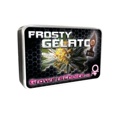 Frosty Gelato - Growers Choice