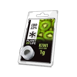 Kiwi 22% CBD Jelly 1 g - Plant of Life