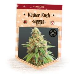 Kosher Kush - Garden of Green