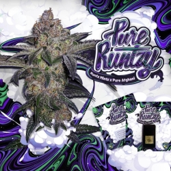 Pure Runtzy Limited - T.H. Seeds