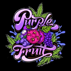 Purple Fruit - Sumo Seeds