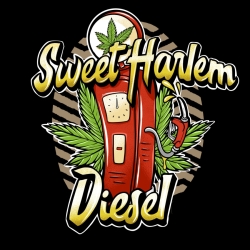 Sweet Harlem Diesel - Sumo Seeds