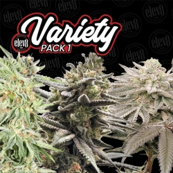 Variety Pack #1 - Elev8 Seeds