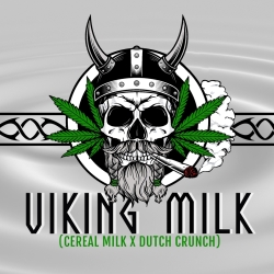 Viking Milk - ELEV8 Seeds