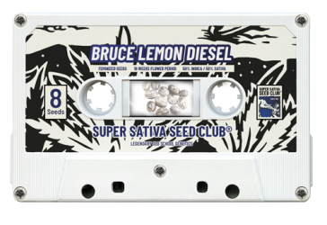Bruce Lemon Diesel - Super Sativa Seed Club