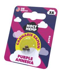 Purple Amnesia Cannabissamen - Holy Hemp