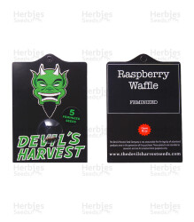 Raspberry Waffle CBD (Devils Harvest Seeds) Cannabis-Samen