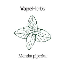 VapeHerbs – Pfefferminze 30g