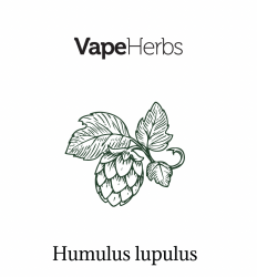 VapeHerbs – Hopfen 30g