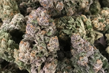 Dark Ghost Train - Rare Dankness