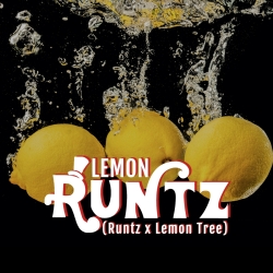 Lemon Runtz - ELEV8 Seeds