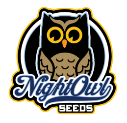 Zamango - Night Owl Seeds