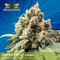 Tapestry - Mosca Seeds