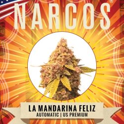 Narcos La Mandarina Feliz Autoflowering