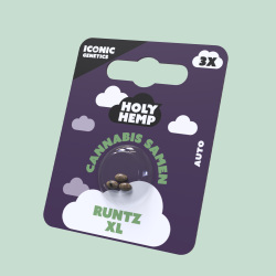 Runtz XL Cannabissamen