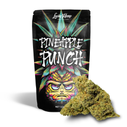 Pineapple Punch Cali Pack - 3.5g