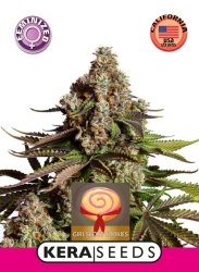 Girl Scout Cookies - Kera Seeds